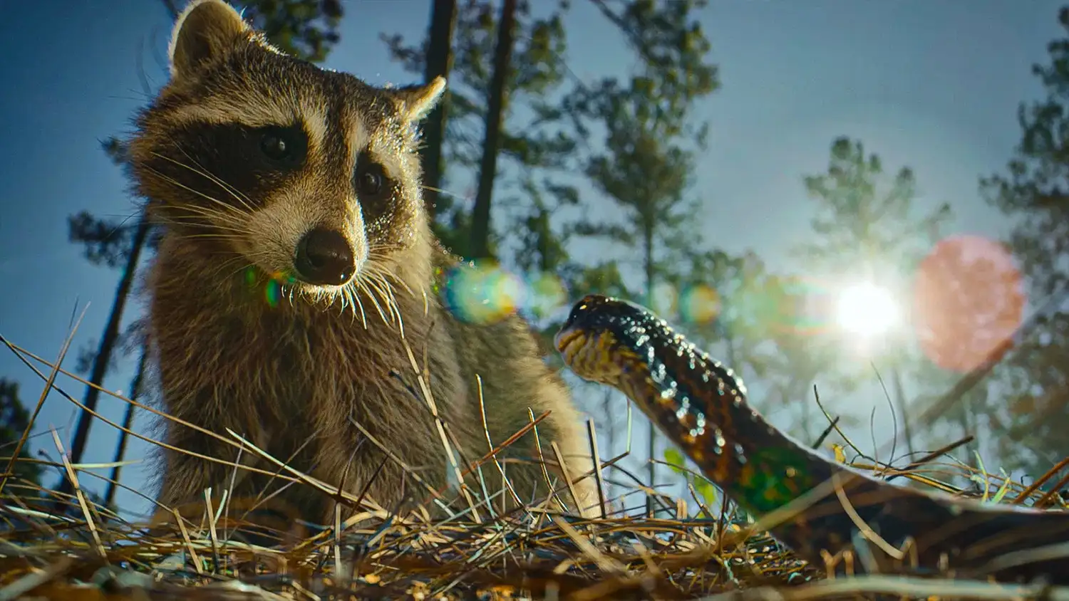 کابوس های طبیعت